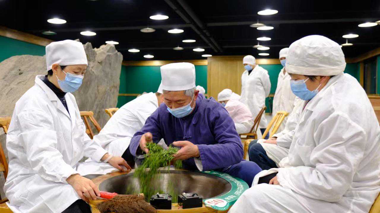 【发现春之美】陕西紫阳：富硒茶采摘加工忙