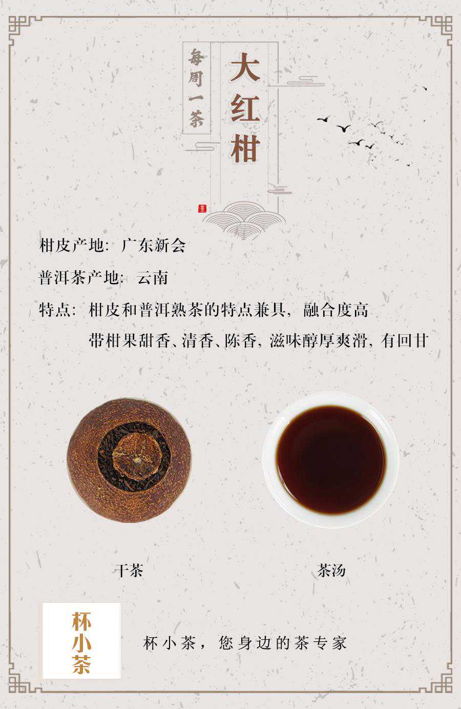 一张图带你喝懂大红柑