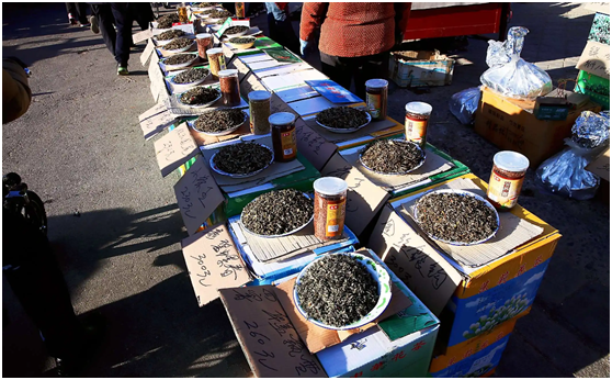 街边的散茶多赚钱？这样低成本的茶叶能喝吗？老茶客：尽量别喝