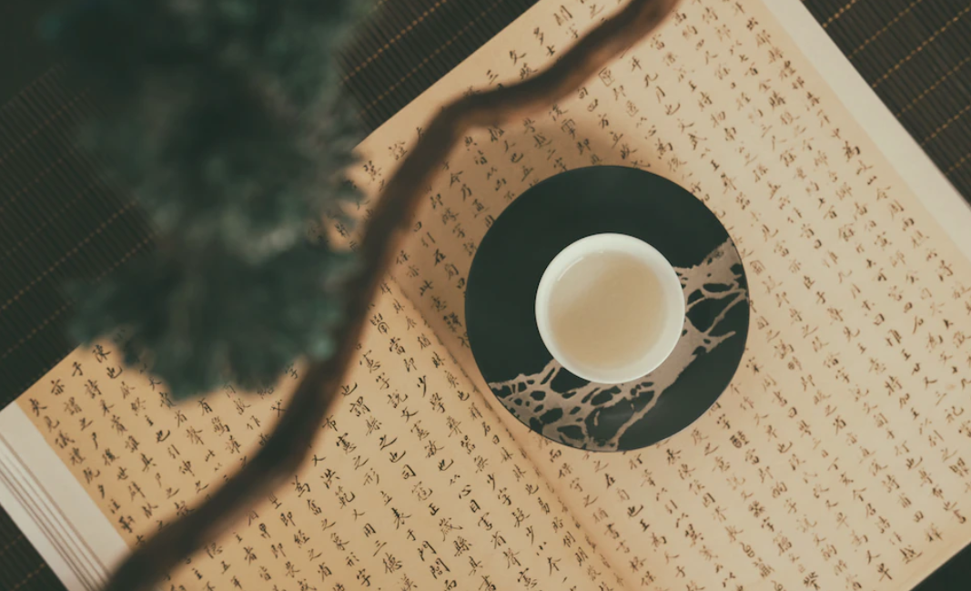 新手喝茶指南【舒城兰花】