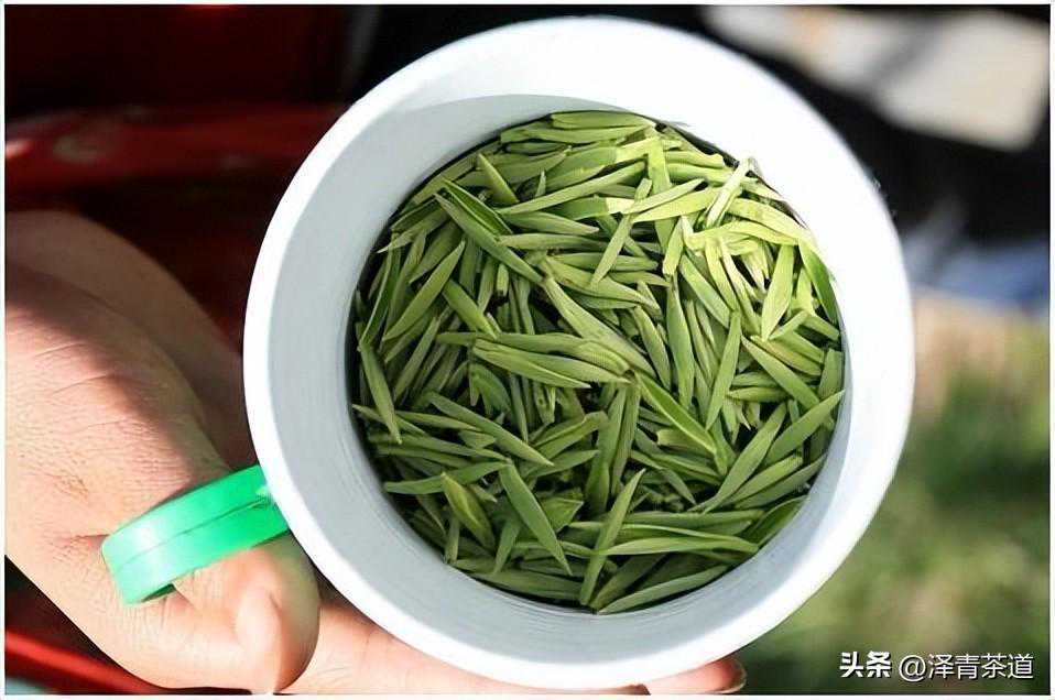 春茶季,你知道哪些绿茶的春茶最好喝?