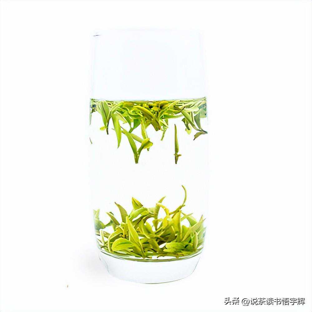什么茶叶最好喝，这是我听到的最扯淡的理由和茶叶