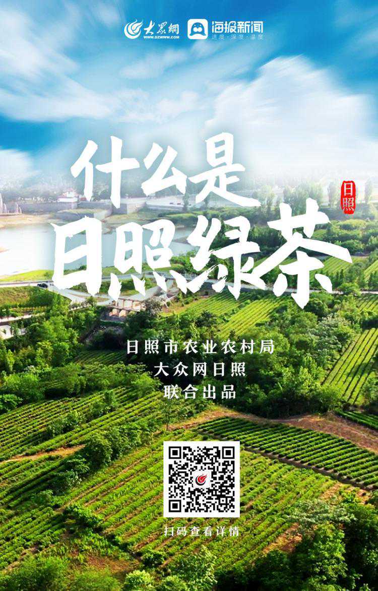 视频丨什么是日照绿茶