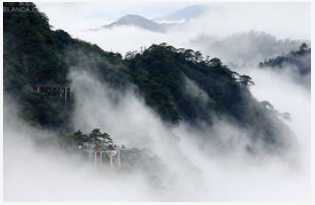 绿茶百科,信阳毛尖茶的产地在哪里