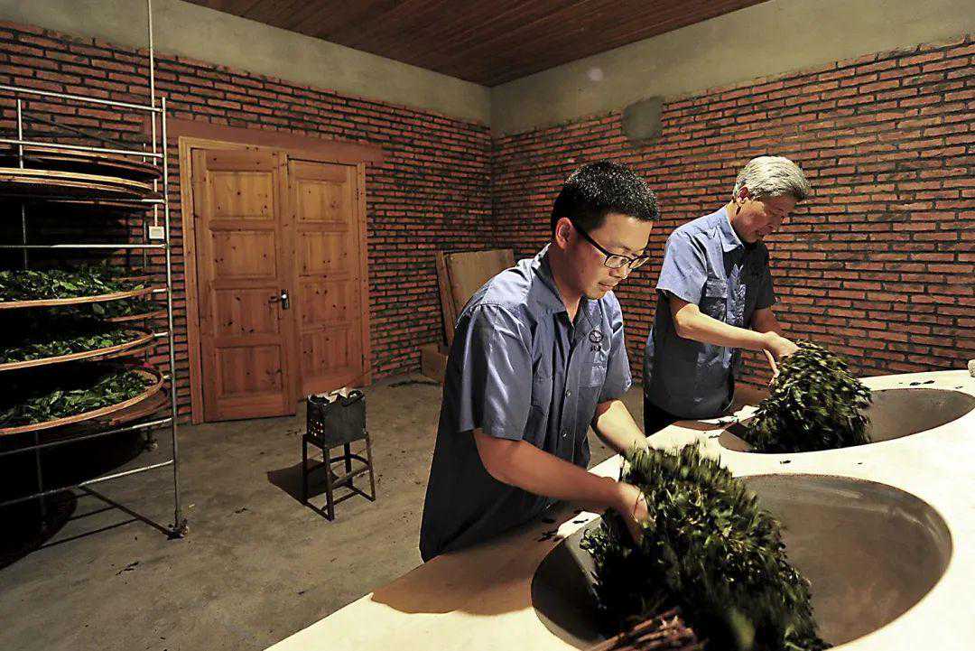 金宗北斗专心事茶丨2023春茶季，是尾声也是开始