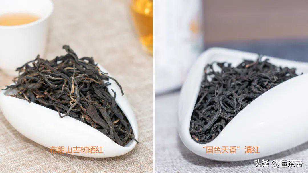 普洱晒红、滇红傻傻分不清？一文给你讲得透透的