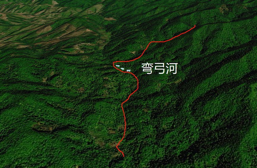 46丁家寨古树茶：弯弓、白茶园、凤凰窝都在这里！