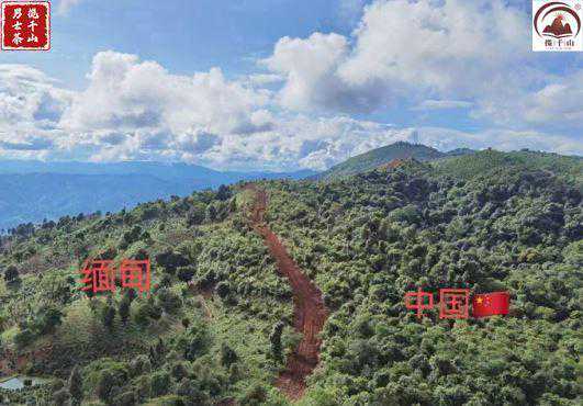 小勐宋:一半甜一半苦的苦茶之乡