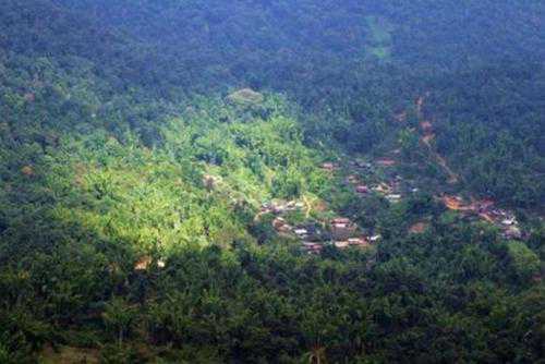 茶山介绍：西双版纳的大勐宋小勐宋