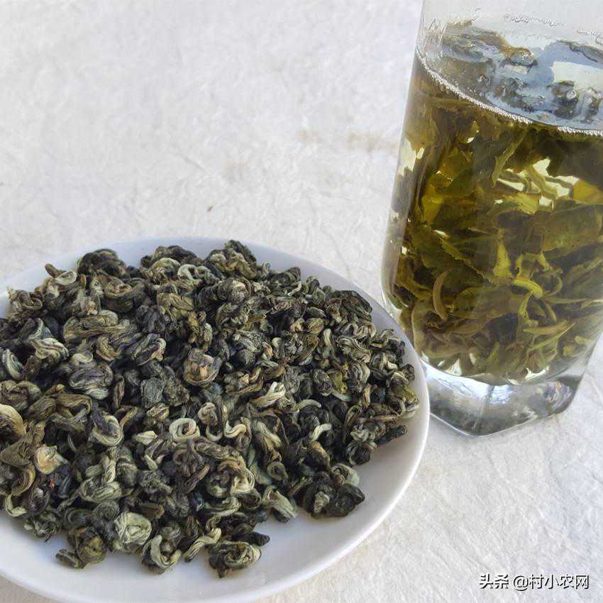 碧螺春是绿茶吗？只需8招教你冲泡出好喝碧螺春！