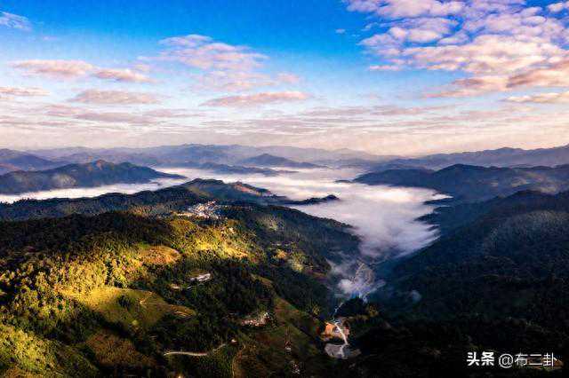 「茶」明真相-古六大茶山