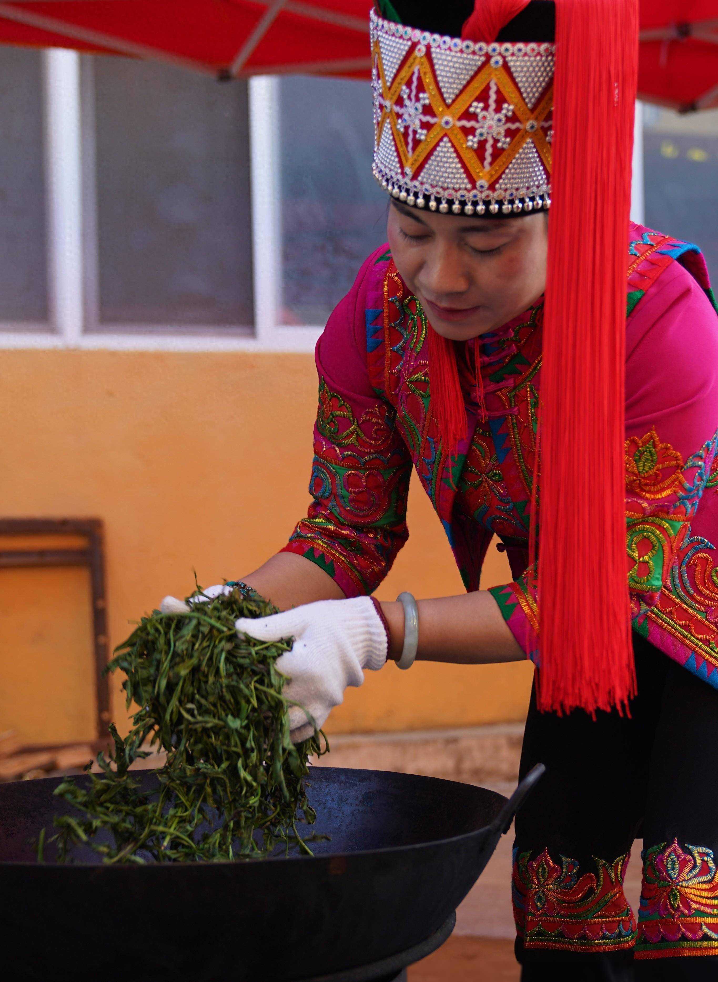 云南绿春：早春玛玉茶开采#