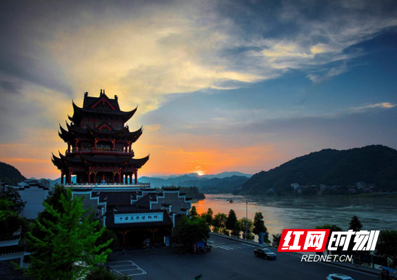 安化黑茶是什么？看完你就知道了