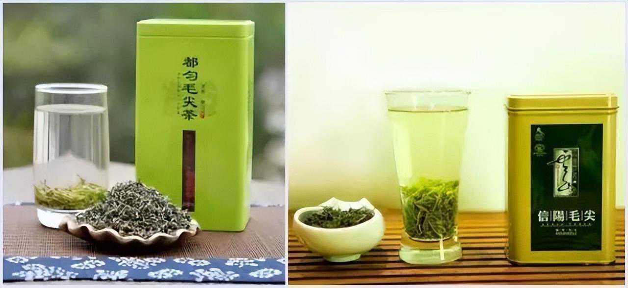 都匀毛尖与信阳毛尖谁更胜一筹？