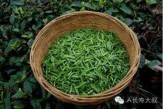 大叔说茶湄江翠片