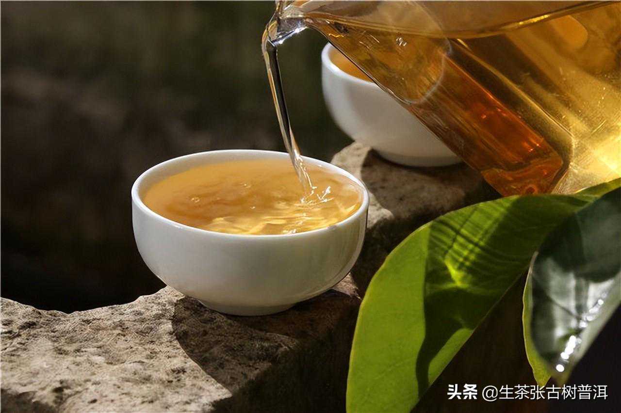 详述:关于普洱茶的9大热点问题,一文搞懂普洱茶