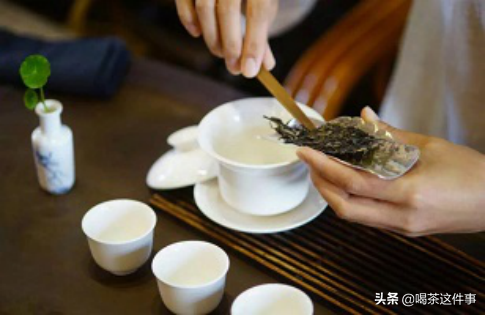 泡白茶的三种方法，第二种省事又好喝（建议收藏）
