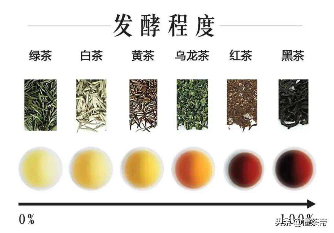 六大茶类代表名茶有哪些？喝过三款以上才称得上大神