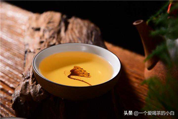 邦崴古树茶及其普洱茶特点简介