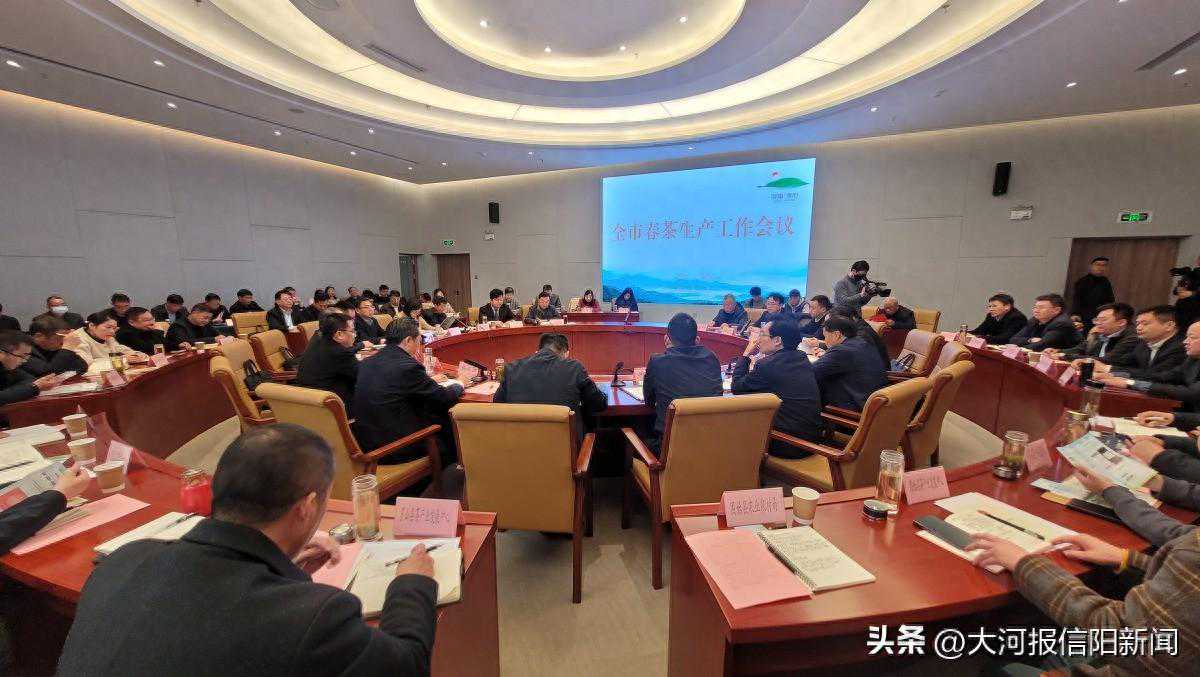 什么时候能喝上2024年信阳毛尖新茶?信阳市茶叶协会权威解答