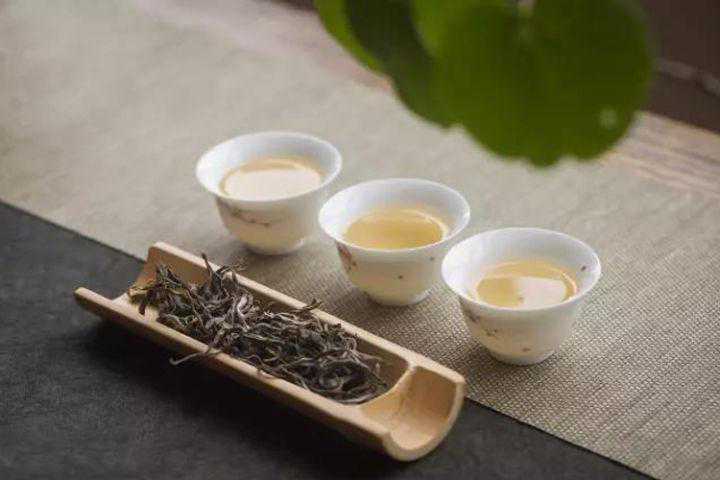 保塘老寨是哪个茶区，保塘古树茶特点是什么