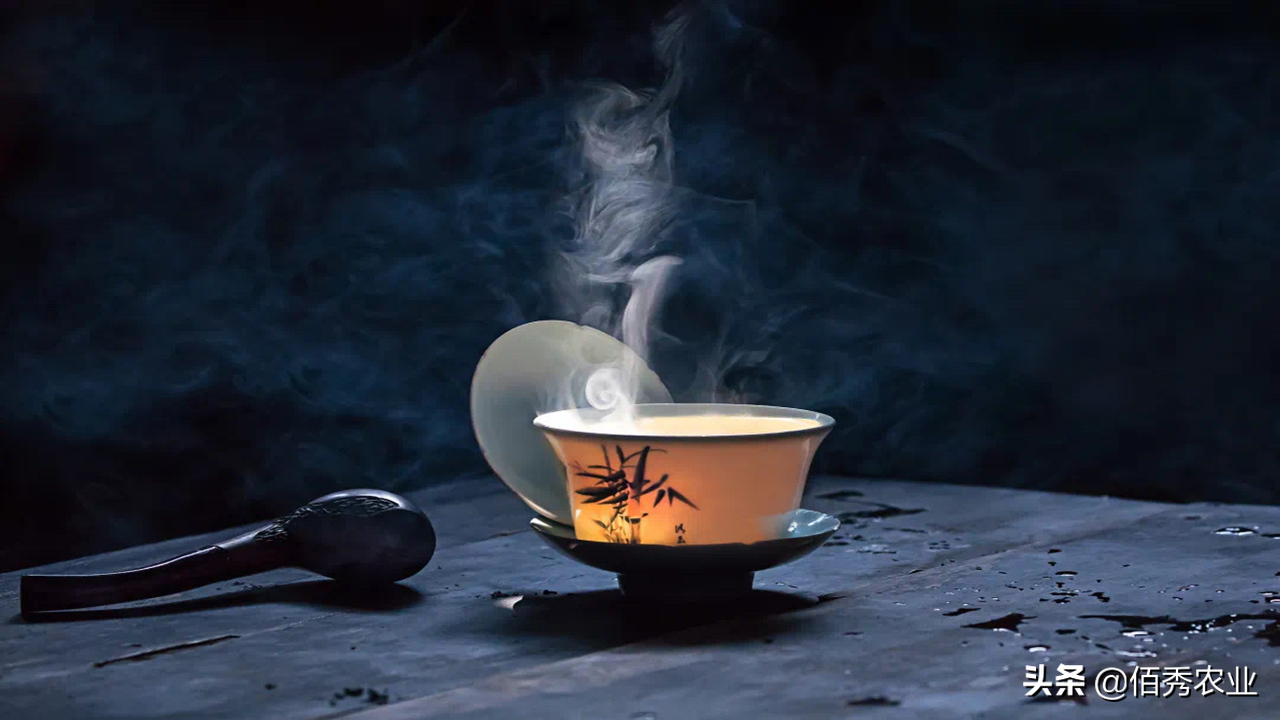 五种常见的茶，绿茶红茶花茶青茶普洱，3分钟带你认识茶、了解茶