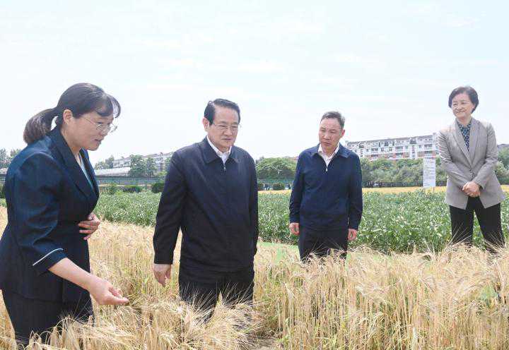 日常买茶的8大“智商税”,你交过吗?