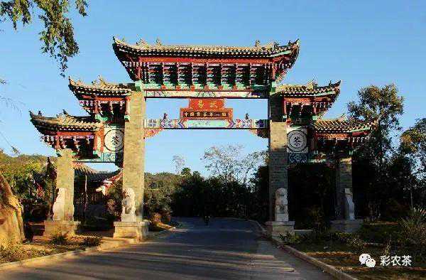 探源易武青饼（一）：马蹄声已远，但匠心传承不止