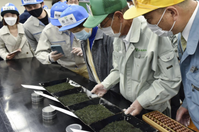 1千克10万元人民币 日本新茶拍卖价格创新高