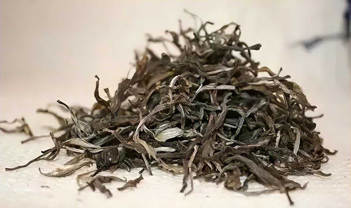 ​普洱茶的散茶，到底好不好？