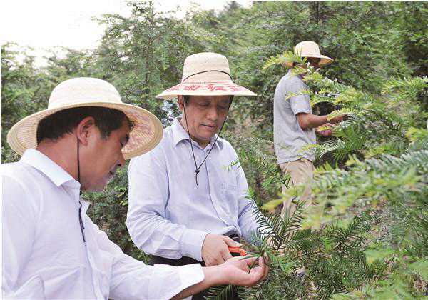 乡亲口碑里的“好人阿小”沈建斌:因为乡愁