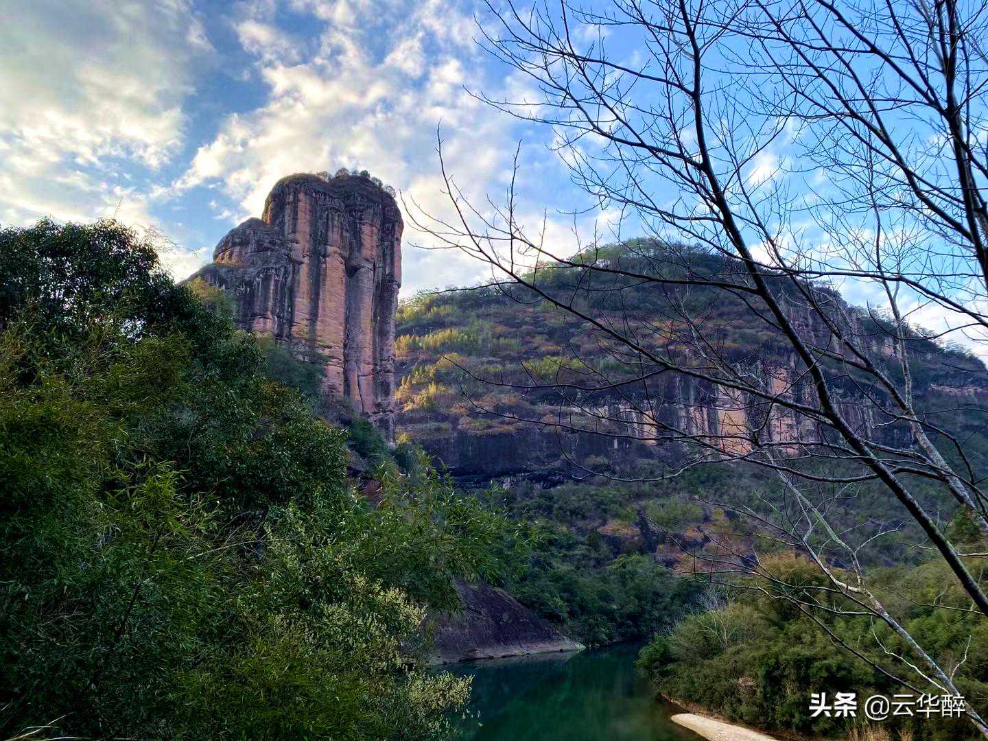 武夷岩茶还有个系列叫“奇种”,是你未曾听过的故事