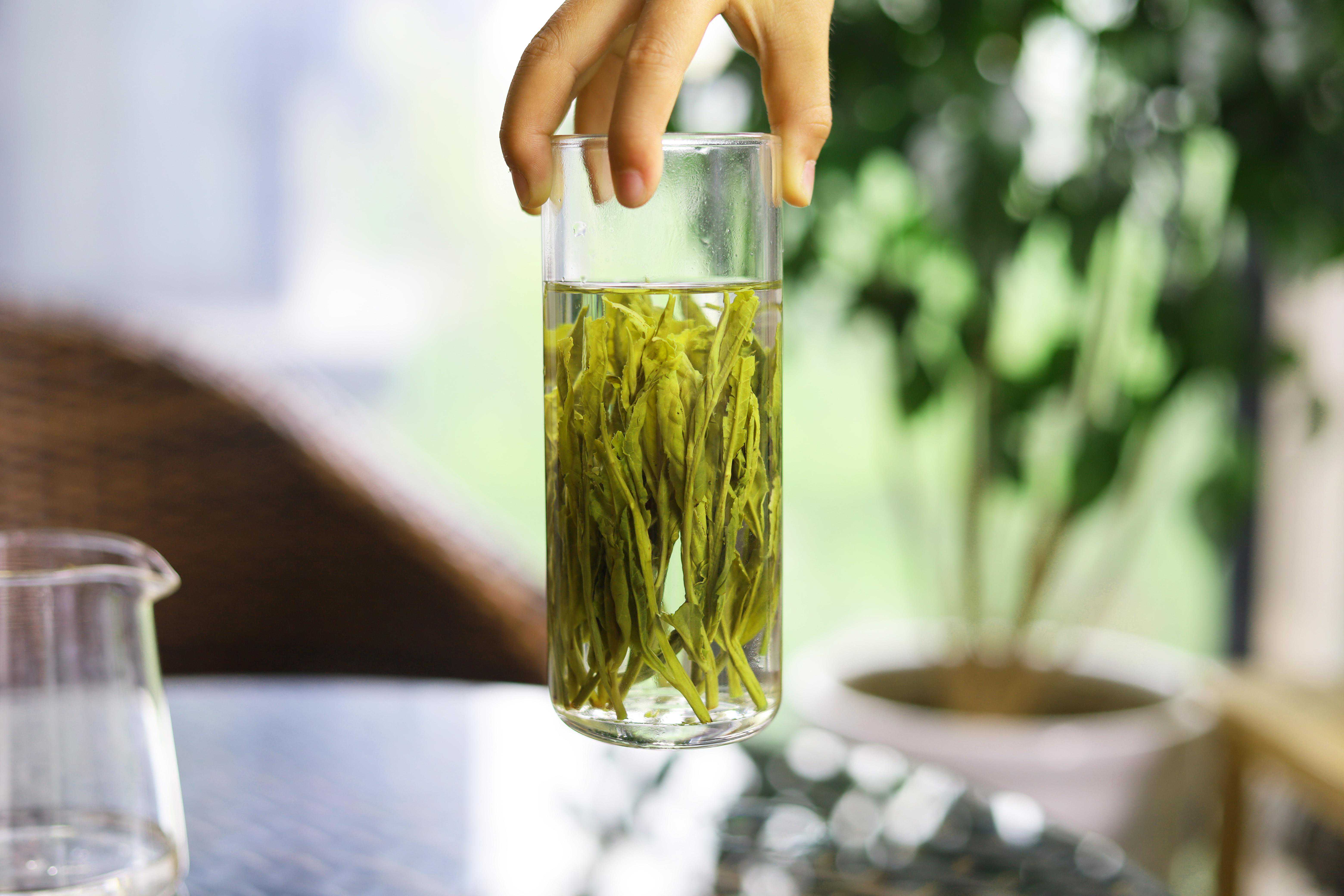 教你一招区分太平猴魁和太平布尖