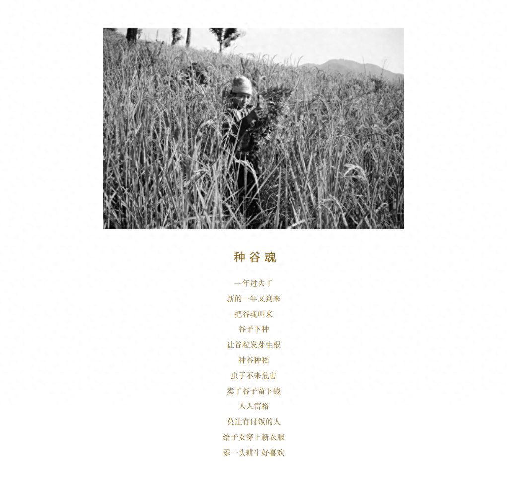 摄影好书｜民族影像志：自由生长的云南布朗山和它的山民