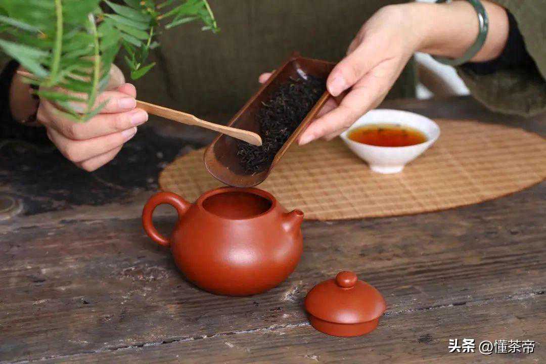 一篇文章讲清楚：洗茶、润茶、醒茶到底有何区别？