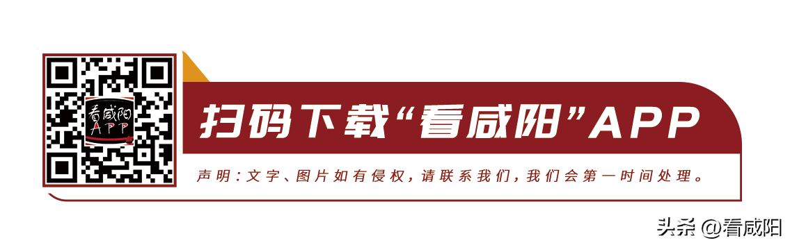 高质量发展看咸阳｜泾阳：做好茶文章 推动茯茶产业高质量发展