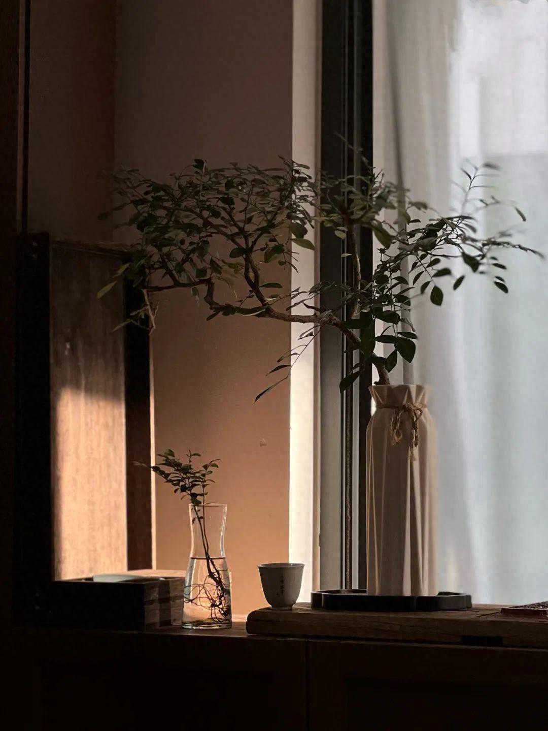 武夷岩茶的耐泡度与什么有关？泡茶时留意3个细节，答案一目了然