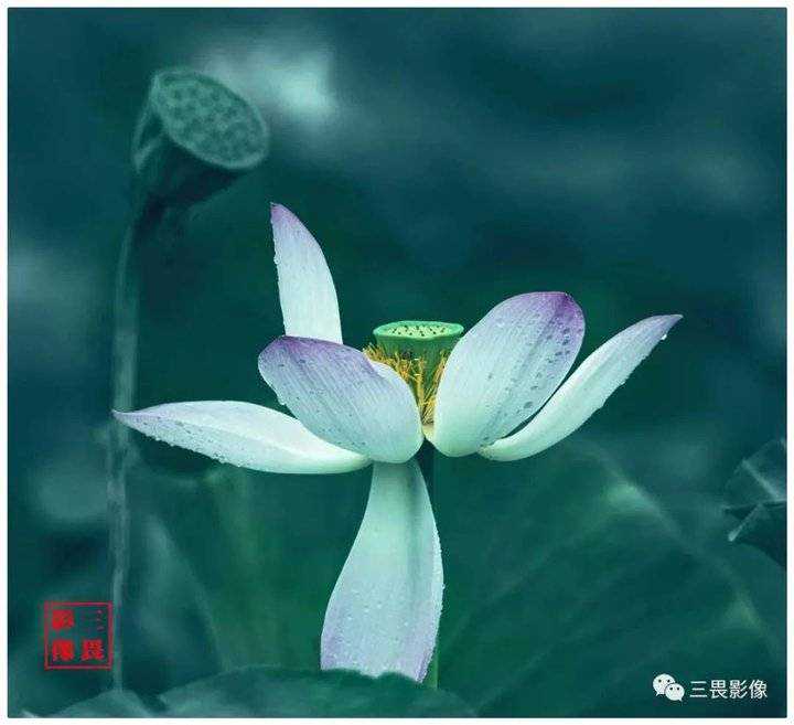 这个人就是“留根”