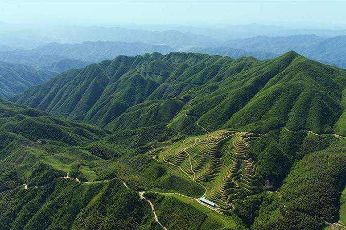 近几年，黑茶逐渐火了起来，那么白沙溪黑茶怎么样？