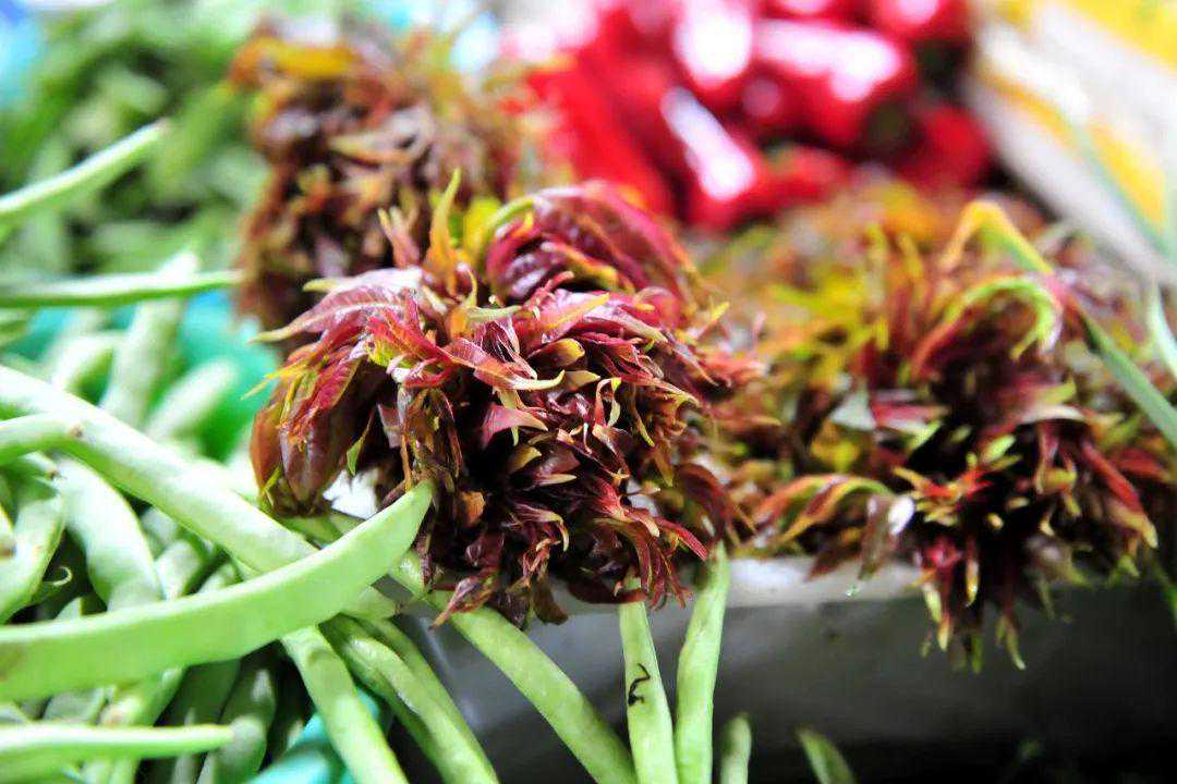 春天最“经典”的诱惑