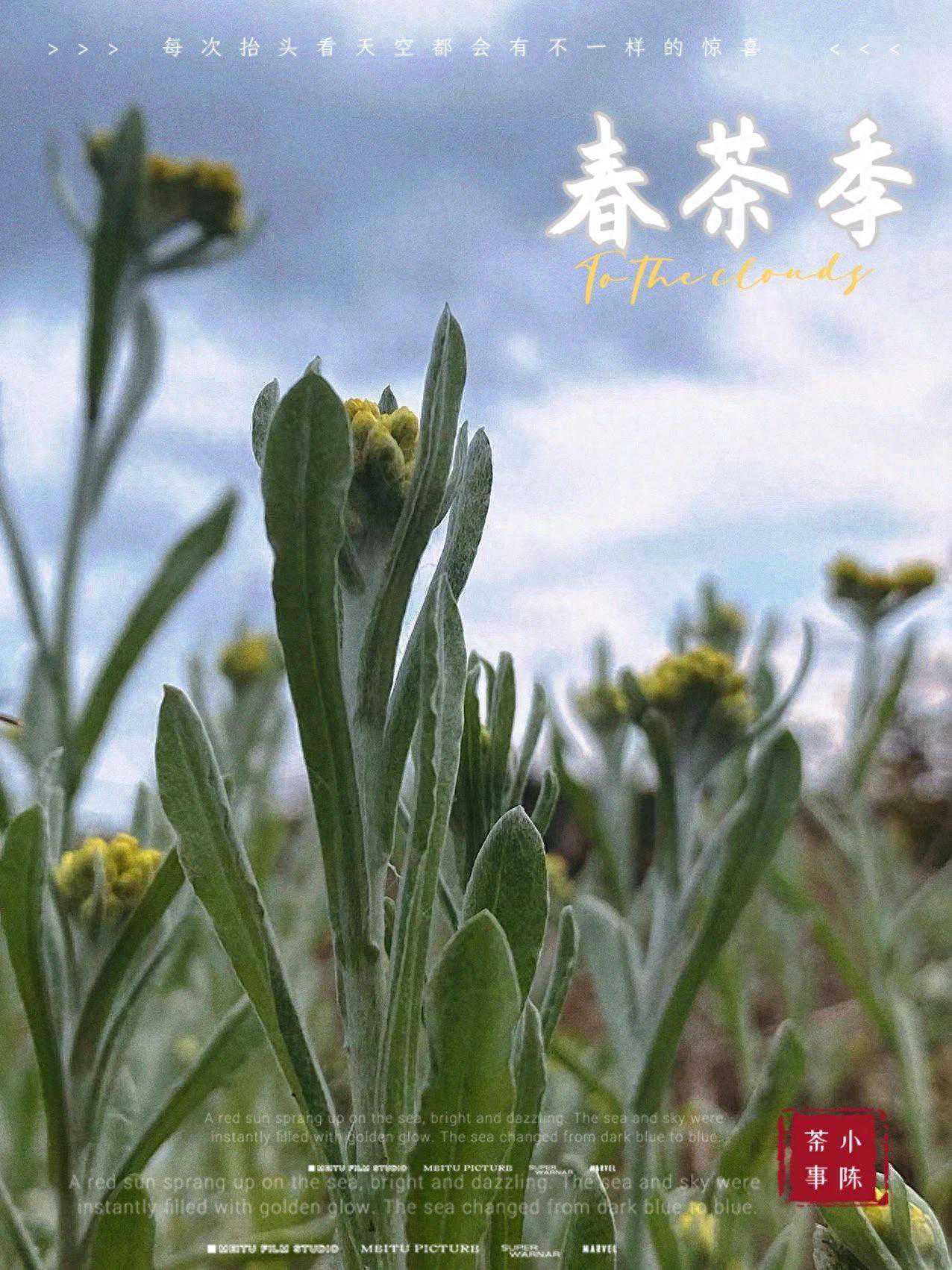 把普洱饼、白茶饼存在柜子里，就能万无一失？茶饼到底要怎么存？