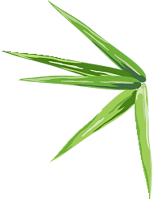 制茶季到啦！〉赴一场武夷山国家公园里的采茶品茶之旅