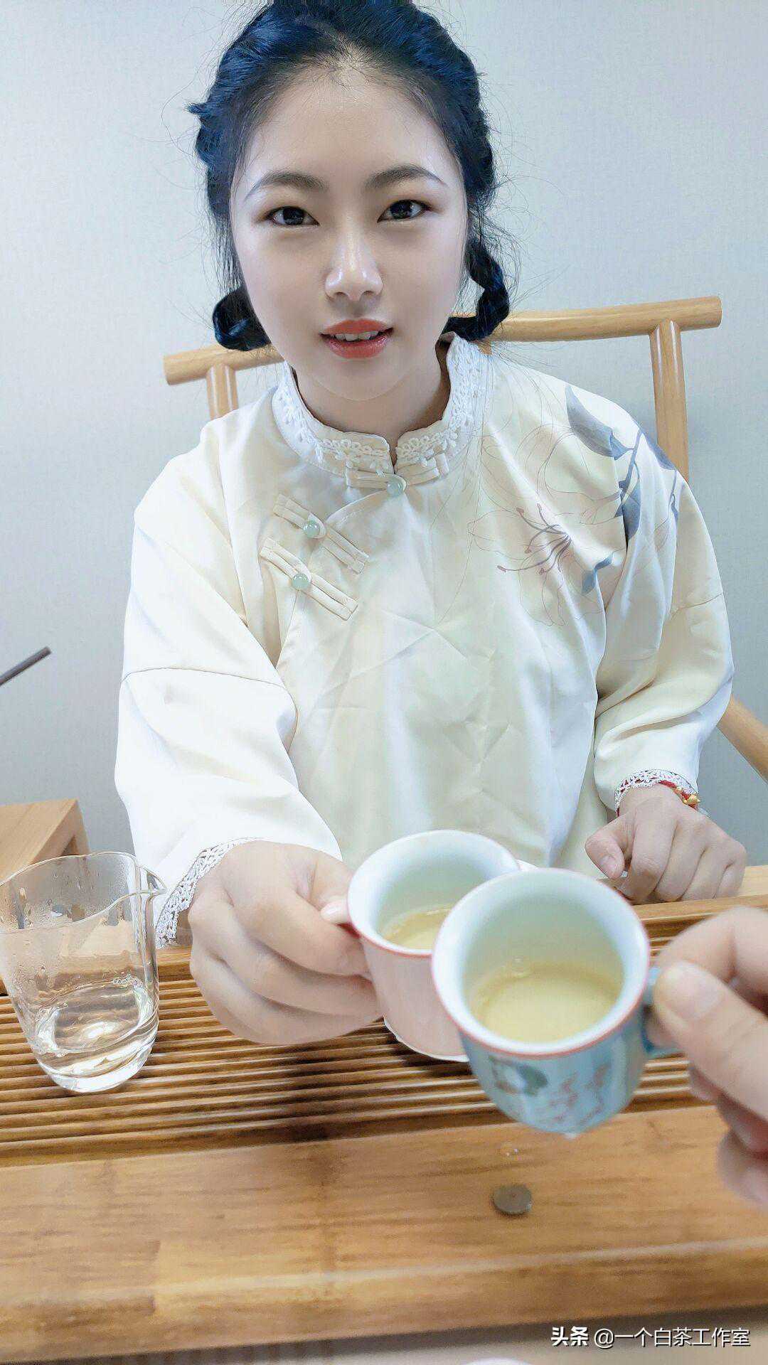 到底什么才是正宗的福鼎白茶史上最全科普大全来了