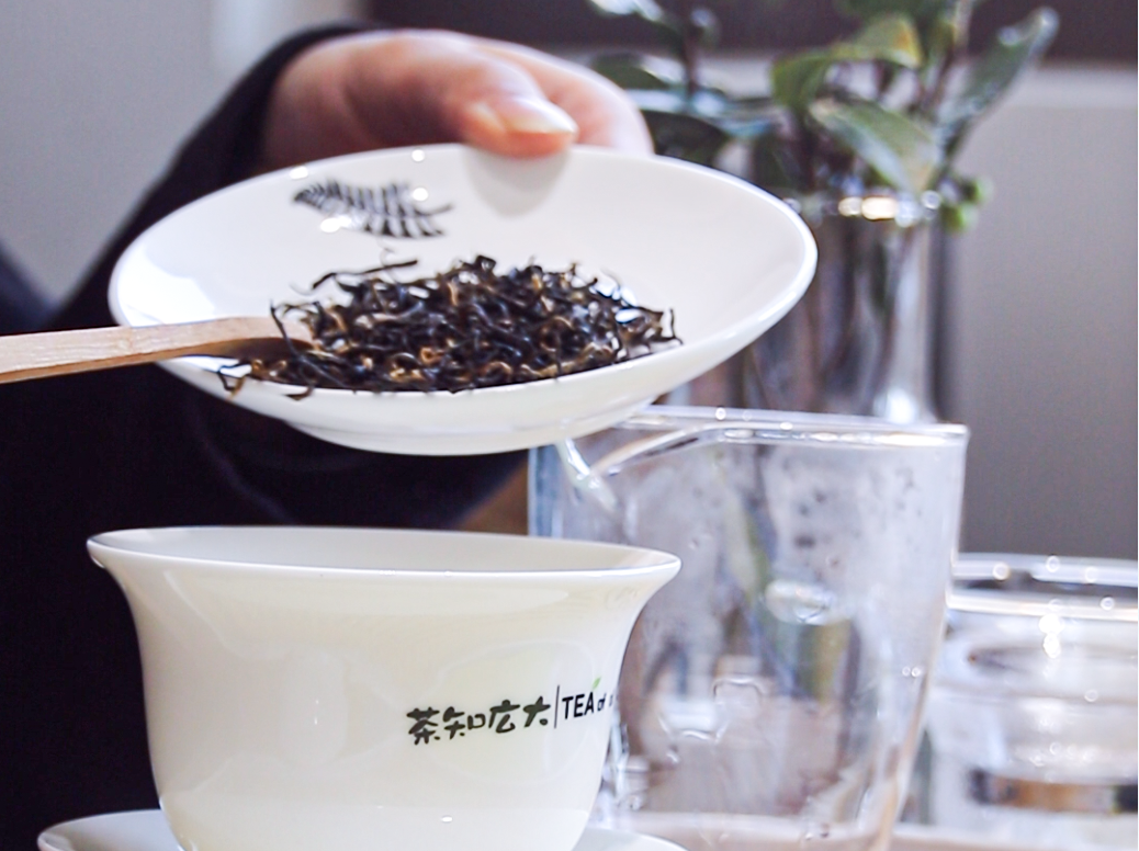 茶知广大 | 黔茶一号，19年精心培育的茶树