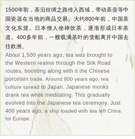 水果茶、冷泡茶、奶盖茶......这些新式茶饮如何用英文表达？