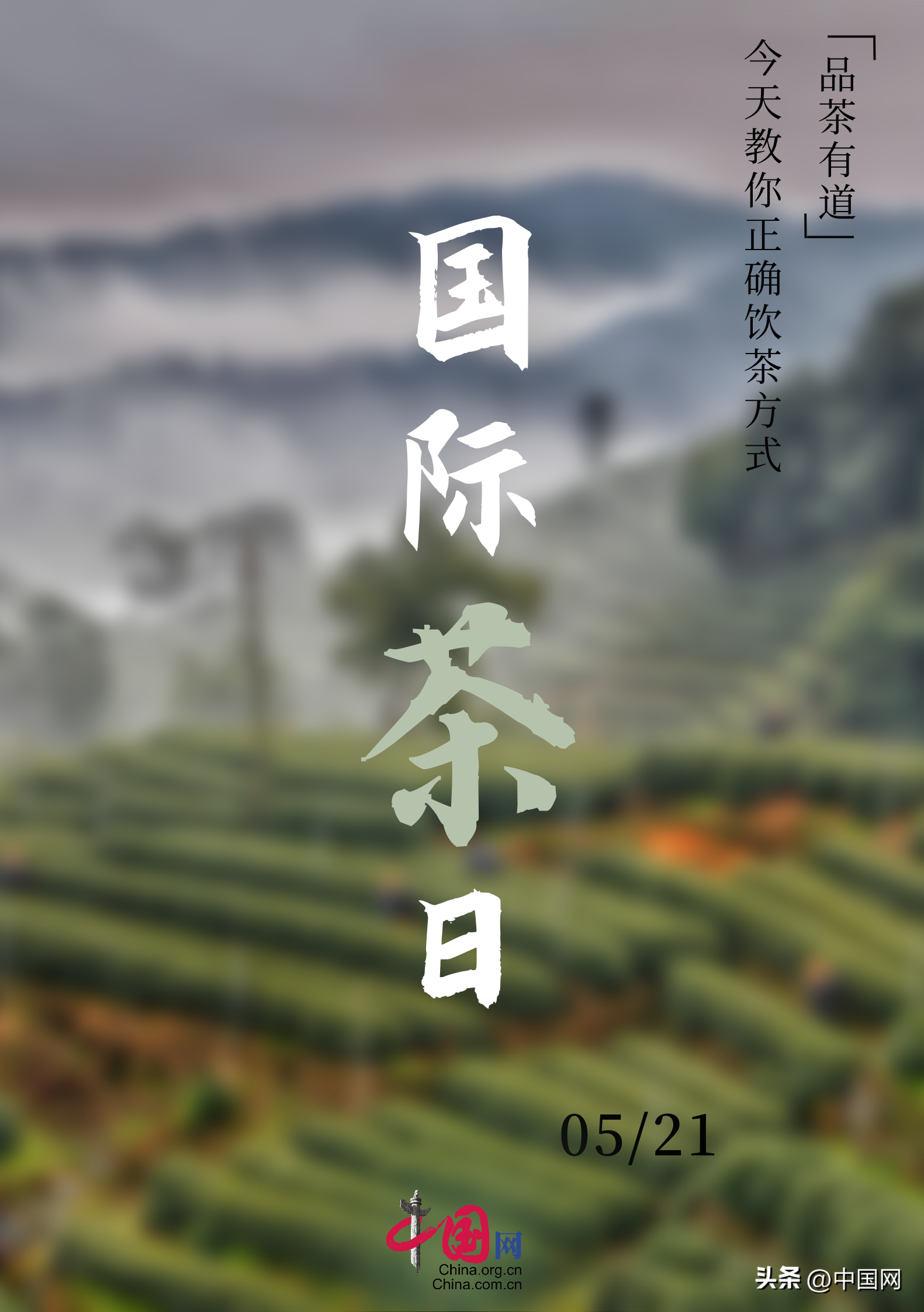 国际茶日 | 品茶有道,今天教你正确饮茶方式