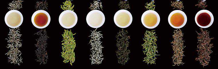 红茶绿茶白茶黑茶普洱乌龙……哪种才是减肥小能手?