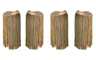 普洱新茶投资指南