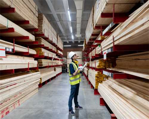 万花似锦 山茶庆春