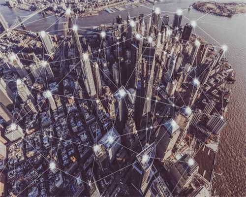 5种常用来泡凉茶喝的植物，广东人夏季常喝，你家山上可能也有